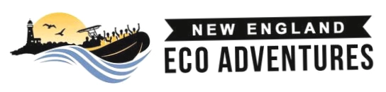 New England Ecoadventures