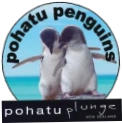 Pohatu Penguins