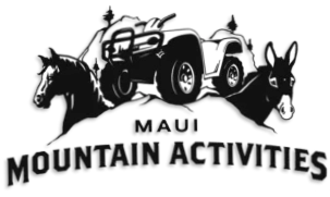Maui Mountain Activities