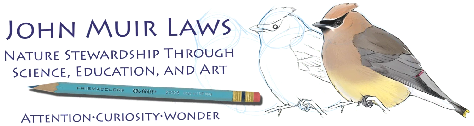 John Muir Laws