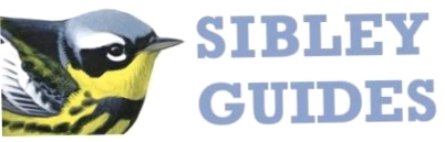 Sibley Guides