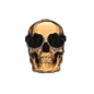 Coooolstuff