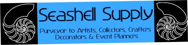 Seashell Supply