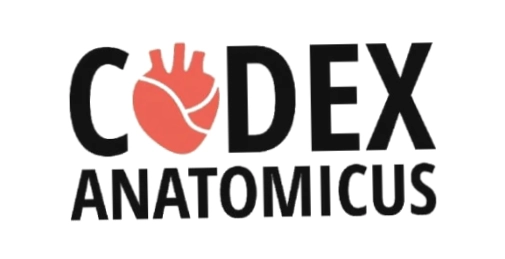 Codex Anatomicus