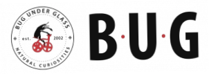 Bugunderglass