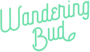Wandering Bud