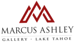 Marcus Ashley