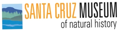 Santa Cruz Museum