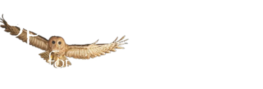 Spirit Hollow