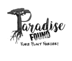 Paradise Found
