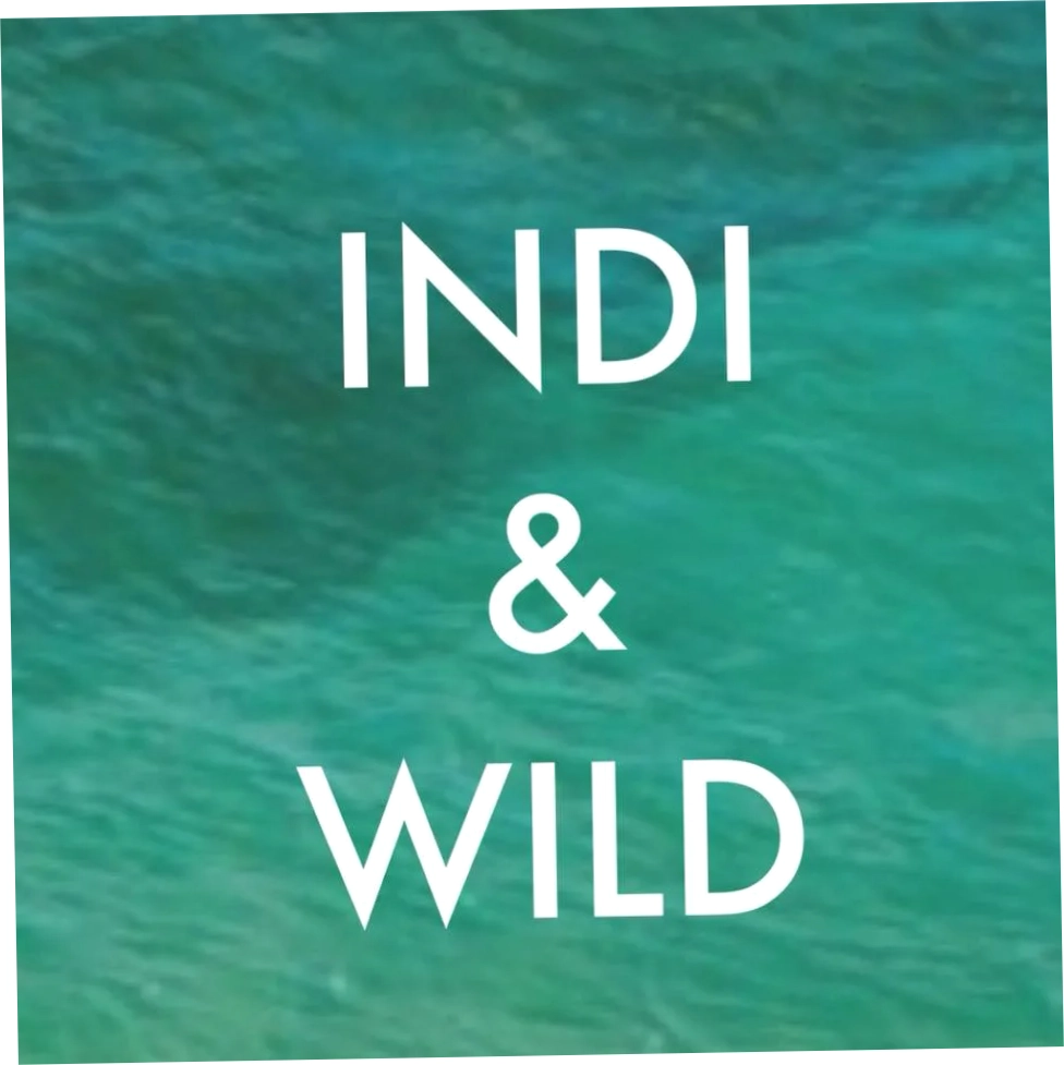 Indi And Will