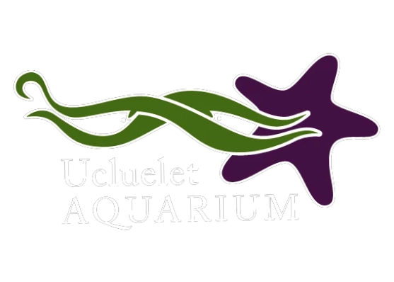 Ucluelet Aquarium