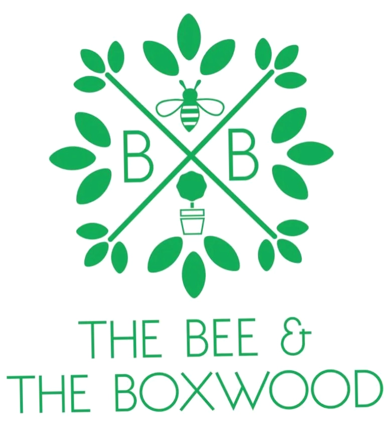 The Bee And The Boxwood