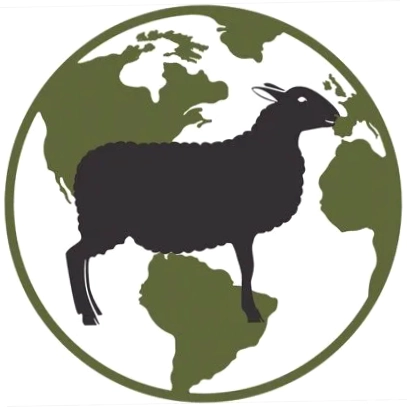 World Around Ewe