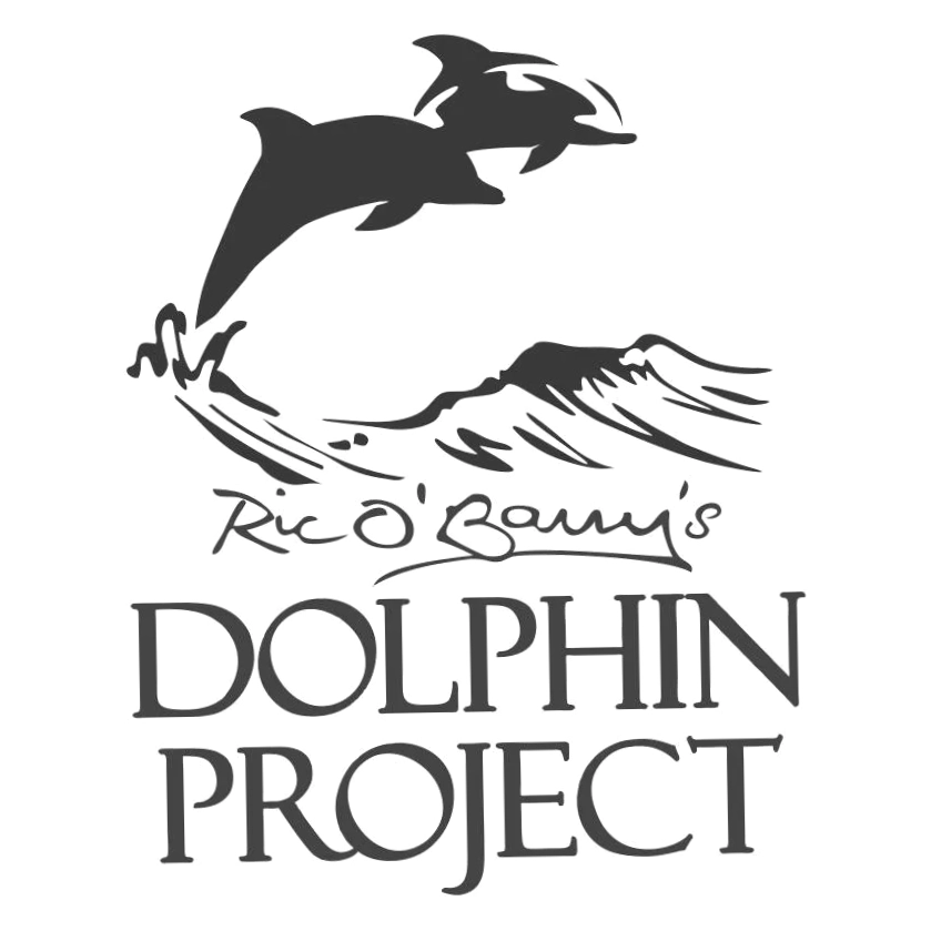 Dolphin Project