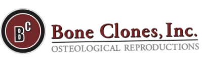Bone Clones Inc