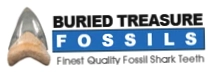 Buriedtreasurefossils