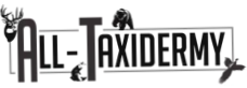 All Taxidermy
