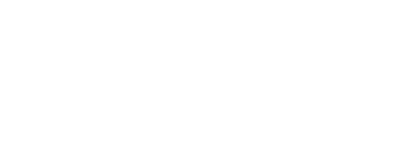 Silversun Pickups