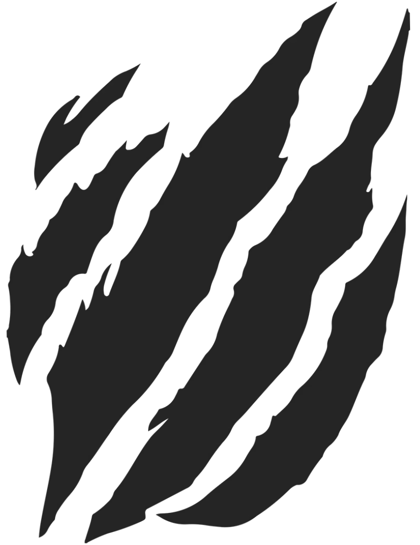 Tsume