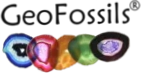 GeoFossils