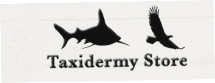 Taxidermy Store