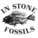In Stone Fossils