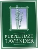 Purple Haze Lavender