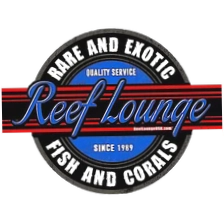 ReefloungeUSA