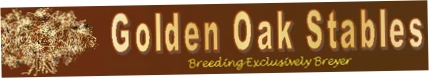 Golden Oak Stables