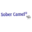 Sober Camel