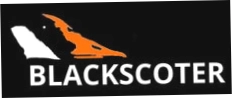 Blackscoter