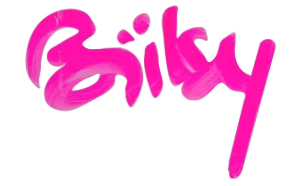 Bilsy