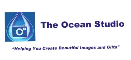 Ocean Gifts