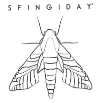 Sfingiday