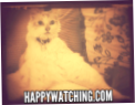 Happy Watching