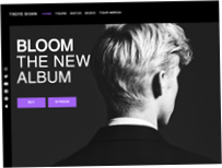 troyesivan.com