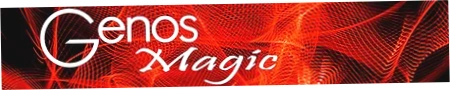 Tyros Magic