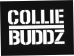 Collie Buddz