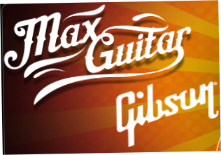 Max Guitar Store
