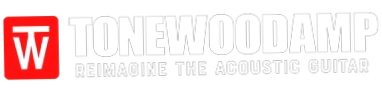 ToneWoodAmp