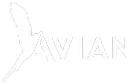 Avian Guitar