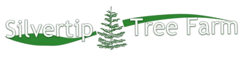 Silvertip Tree Farm