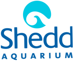 Shedd Aquarium