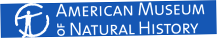 American Museum of Natural History