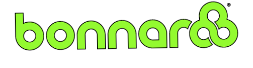 Bonnaroo