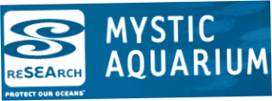 Mystic Aquarium