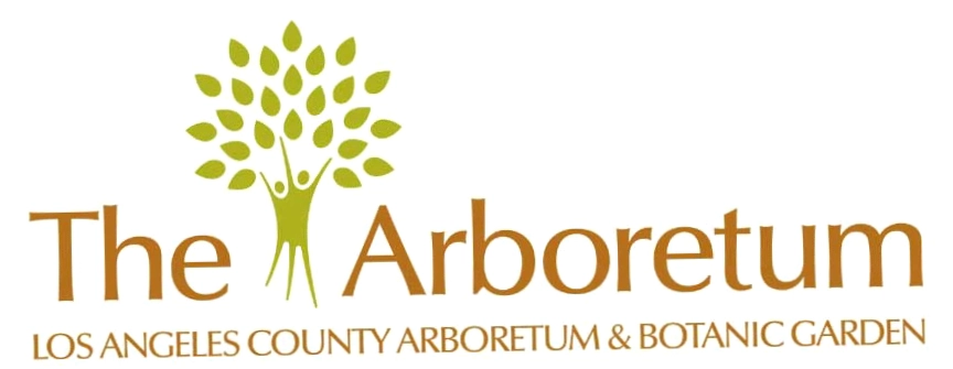 Arboretum Moonlight Forest