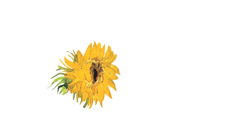 Immersive Van Gogh Chicago