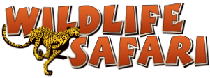 Wildlife Safari